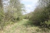 Le long du ru du Gravelin